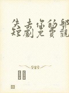 失去你的那一天短剧免费观看全集