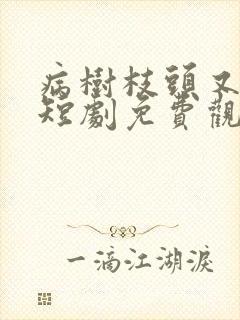 病树枝头又逢春短剧免费观看全集