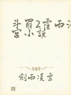 斗罗2霍雨浩后宫小说