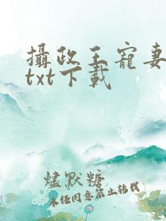 摄政王宠妻日常txt下载