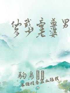 仙武帝尊男主有多少老婆