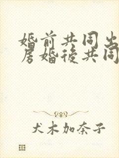 婚前共同出资买房婚后共同还贷