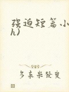强迫短篇小说(h)