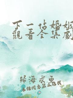 下一站婚姻免费观看全集剧情