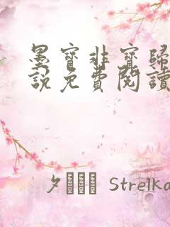 墨宝非宝归路小说免费阅读