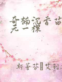 奇楠沉香苗多少元一棵