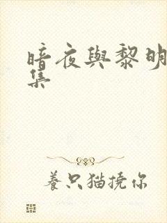 暗夜与黎明14集