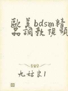 欧美bdsm精品调教视频