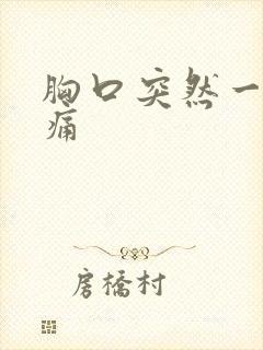胸口突然一阵刺痛