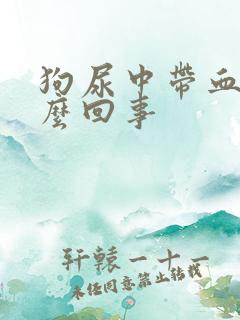 狗尿中带血是怎么回事