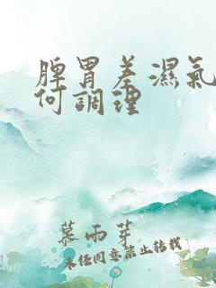 脾胃差湿气重如何调理