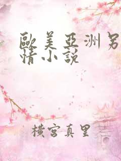 欧美亚洲另类激情小说