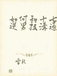 如何和十七岁叛逆男孩沟通