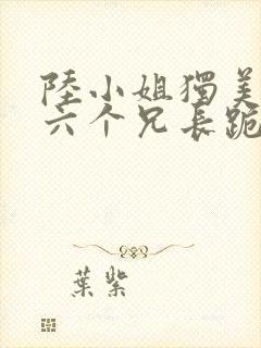 陆小姐独美后,六个兄长跪求原谅