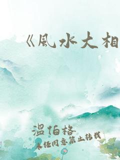 《风水大相师》