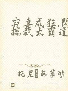 宠妻成狂,闪婚总裁太霸道