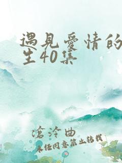遇见爱情的利先生40集