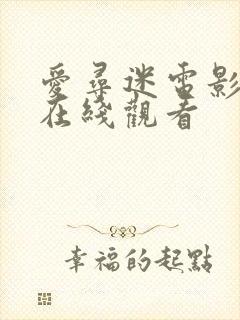 爱寻迷电影高清在线观看