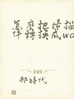 怎么把扫描的文件转换成word