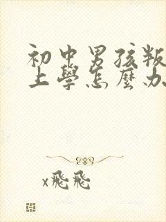 初中男孩叛逆不上学怎么办