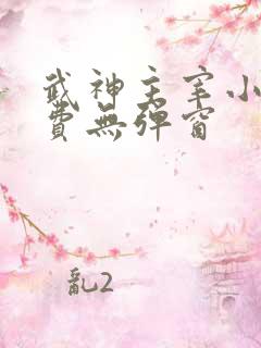 武神主宰小说免费无弹窗