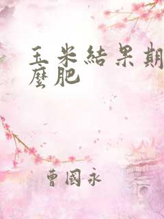 玉米结果期施什么肥