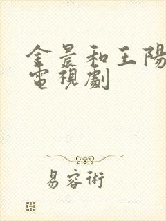 金晨和王阳演的电视剧