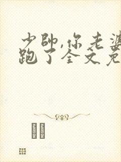 少帅,你老婆又跑了全文免费阅读