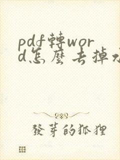 pdf转word怎么去掉水印