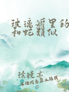 玻璃罐里的珍珠和蛇类似