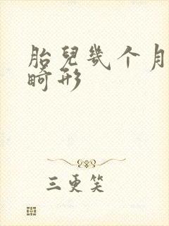 胎儿几个月查出畸形