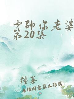 少帅你老婆又跑第20集