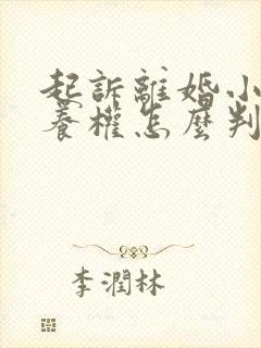 起诉离婚小孩抚养权怎么判