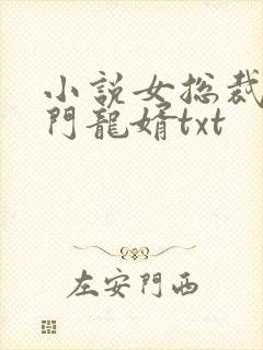 小说女总裁的上门龙婿txt