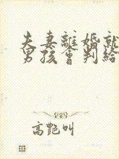 夫妻离婚就一个男孩会判给谁
