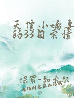天价小娇妻总裁的33日索情