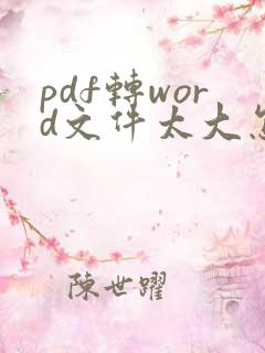 pdf转word文件太大怎么办