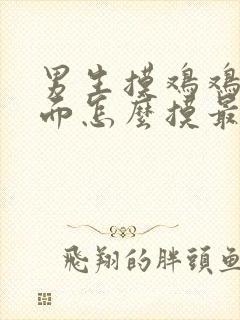 男生摸鸡鸡最上面怎么摸最爽