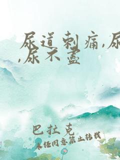 尿道刺痛,尿频,尿不尽