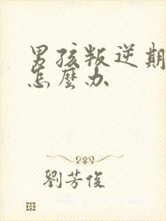 男孩叛逆期家长怎么办
