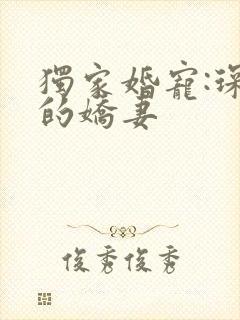 独家婚宠:琛少的娇妻