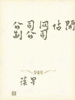 公司网站开发定制公司