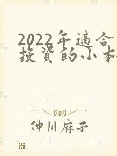 2022年适合投资的小本生意