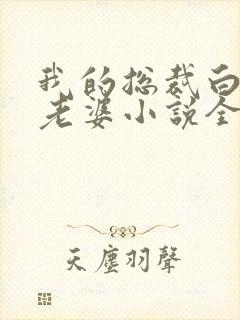 我的总裁白富美老婆小说全集免费看