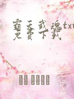 霸天武魂txt免费下载