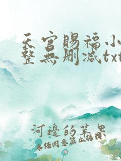 天官赐福小说完整无删减txt下载
