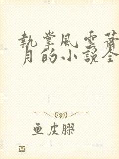 执掌风云萧峥小月的小说全文免费阅读