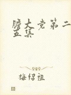 胆大党第二季第五集
