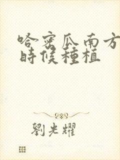 哈密瓜南方什么时候种植
