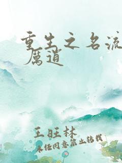 重生之名流巨星 厉逍
